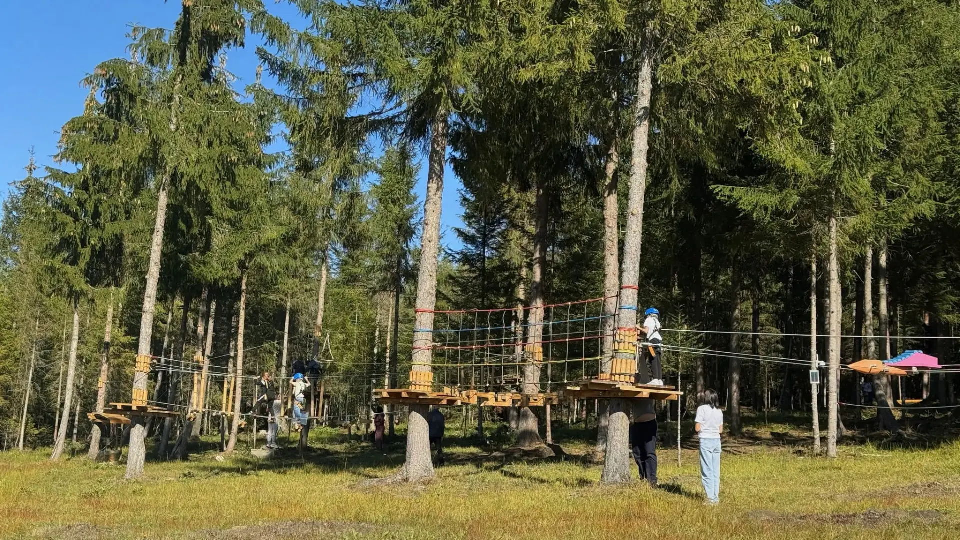 Parcul de Aventură Poiana Stampei