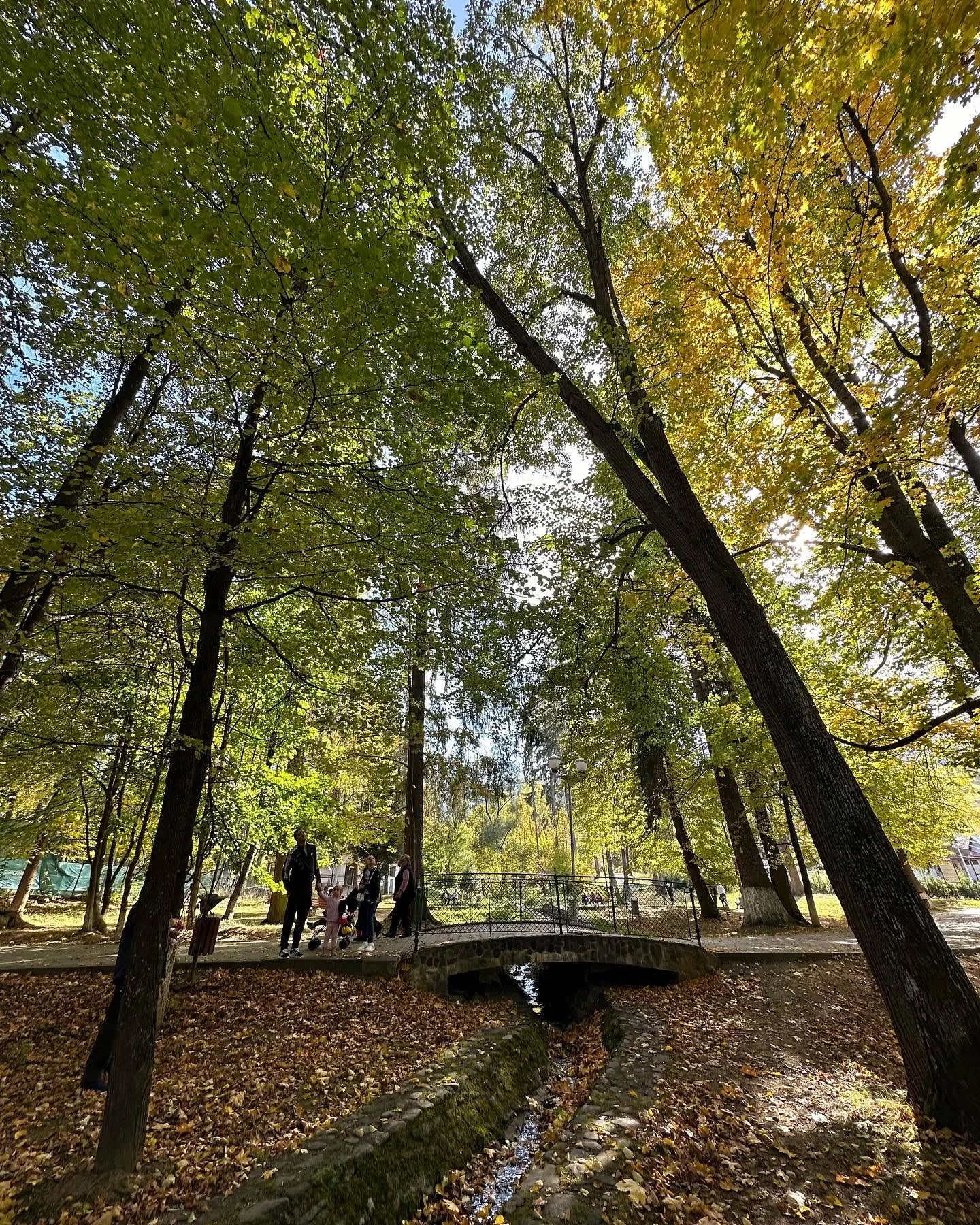 Parcul Central din Vatra Dornei în culorile toamnei